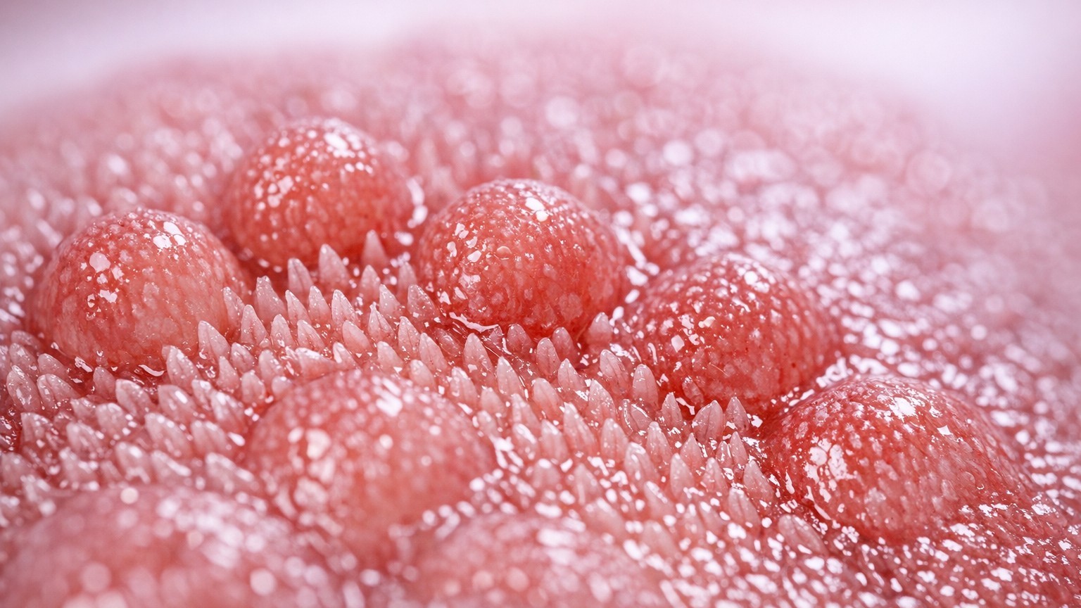 What's Hiding in Your Tongue's Papillae Could Be Sabotaging Your Health
